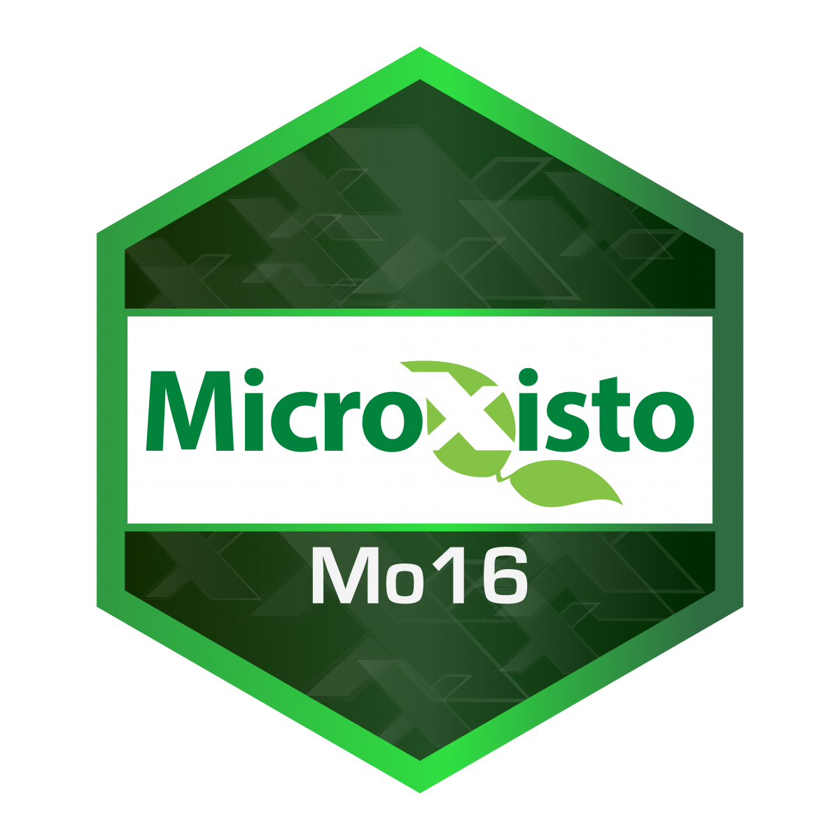 Microxisto MO 16 - 0